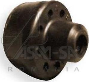 ASAM 30376 - Подвеска, радиатор omsk.autopolka.ru