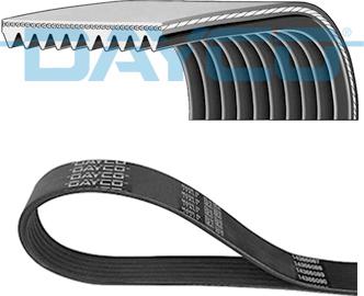 Dayco 10PK1815HD - Поликлиновой ремень omsk.autopolka.ru