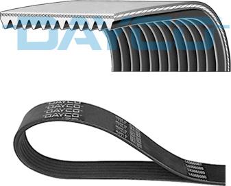Dayco 12PK1515HD - Поликлиновой ремень omsk.autopolka.ru