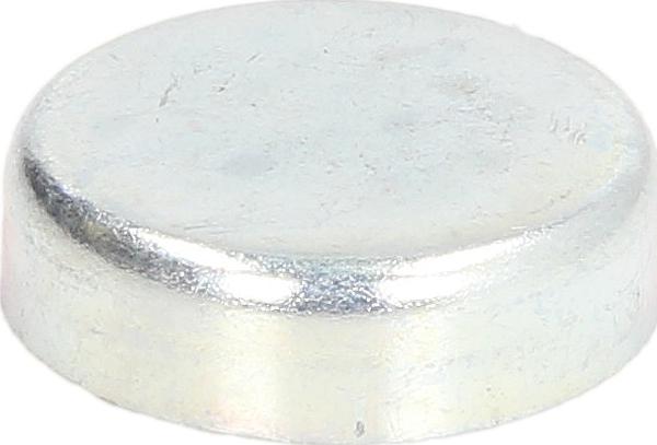Febi Bilstein 02544 - Пробка антифриза omsk.autopolka.ru